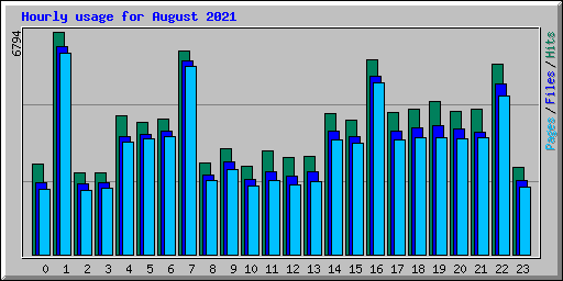 Hourly usage for August 2021