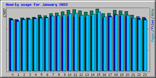 Hourly usage for January 2022